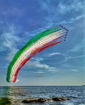 Immagine di Aragosta Tricolore - Special Edition Aeronautica e Frecce Tricolori