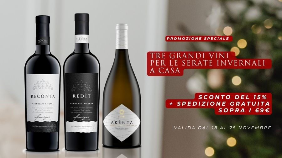 Tre grandi vini per le tue serate invernali con il 15% di sconto!
