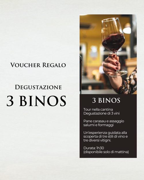 3 binos Degustazione Cantina Santa Maria La Palma