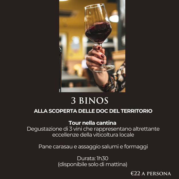 Immagine di 3 Binos: Visita guidata e degustazione